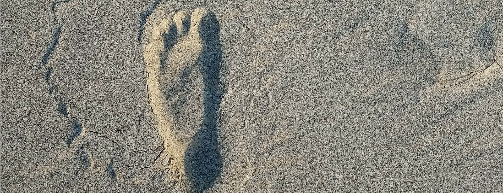 Kodierteam.de - Rechtlich Kodierteam.de - Rechtlich